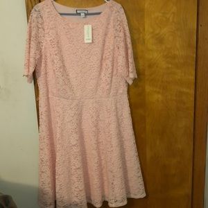 NWT - Club Charter dress from Macy’s